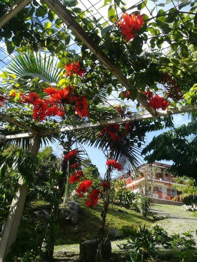Finca Jardin Del Agua Sasaima Exterior photo