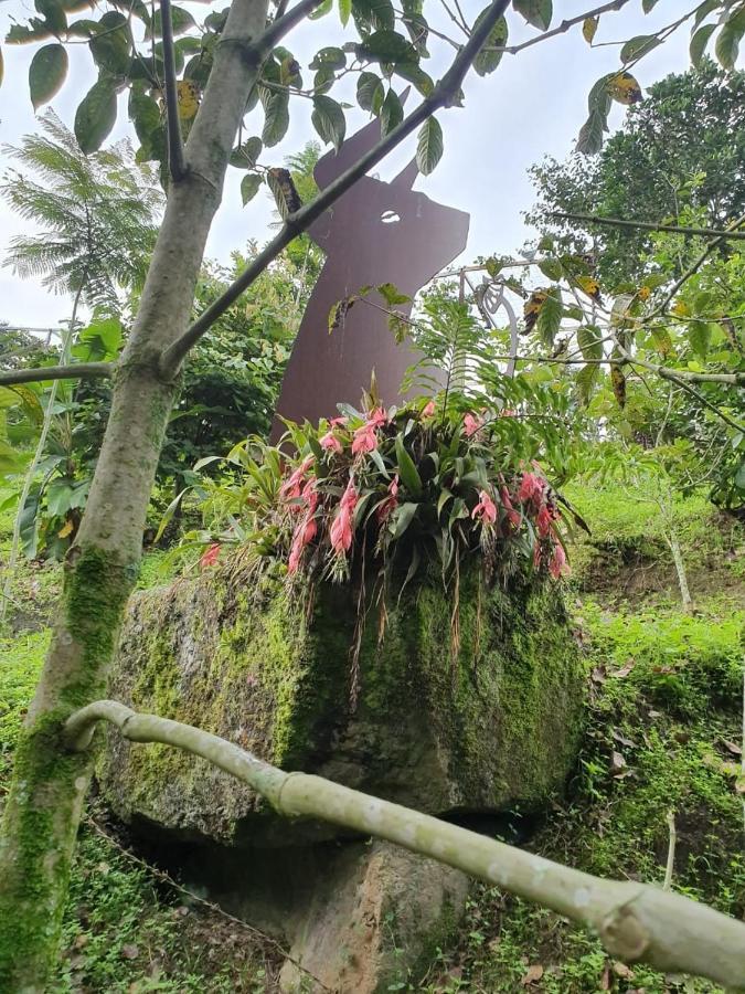 Finca Jardin Del Agua Sasaima Exterior photo