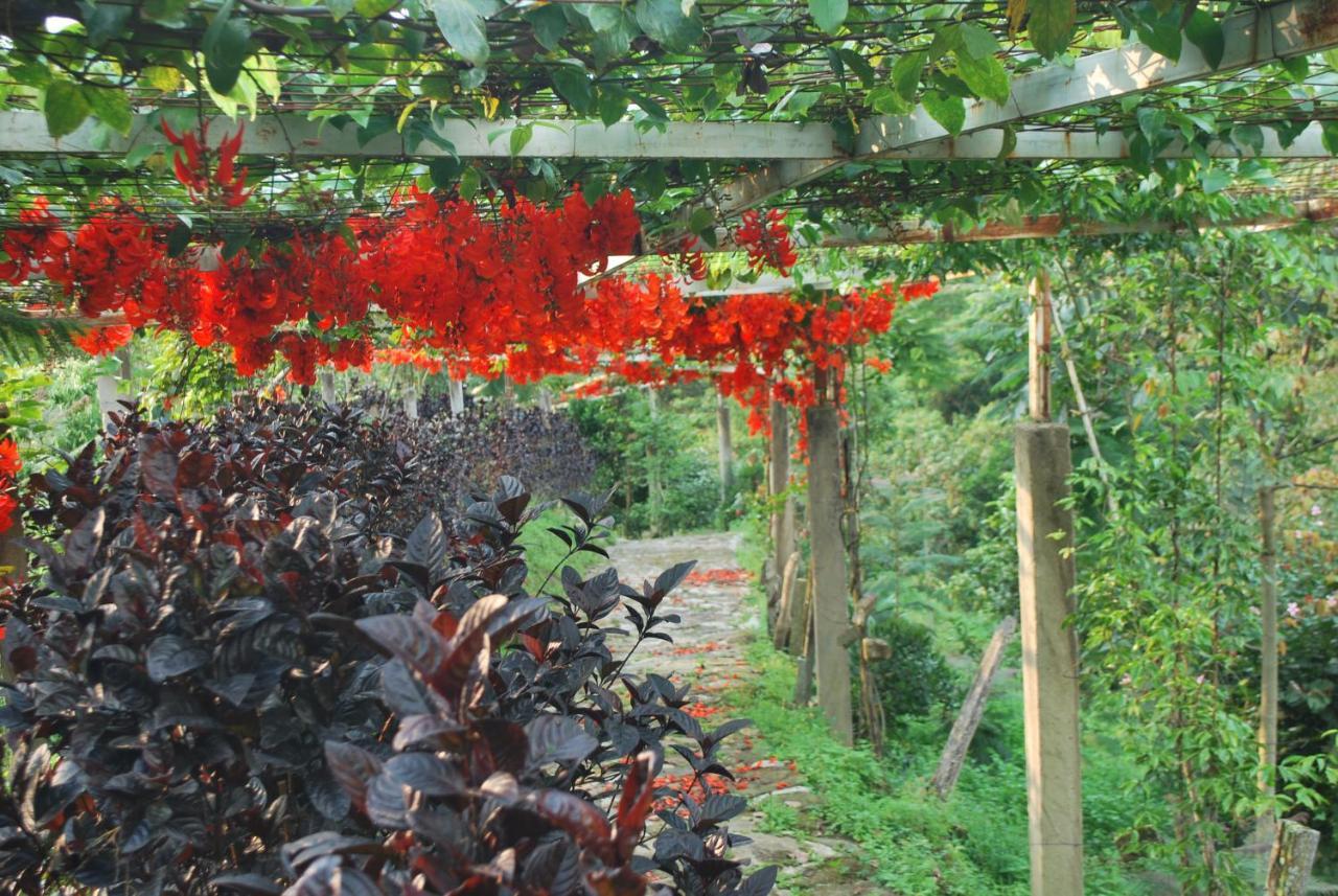 Finca Jardin Del Agua Sasaima Exterior photo
