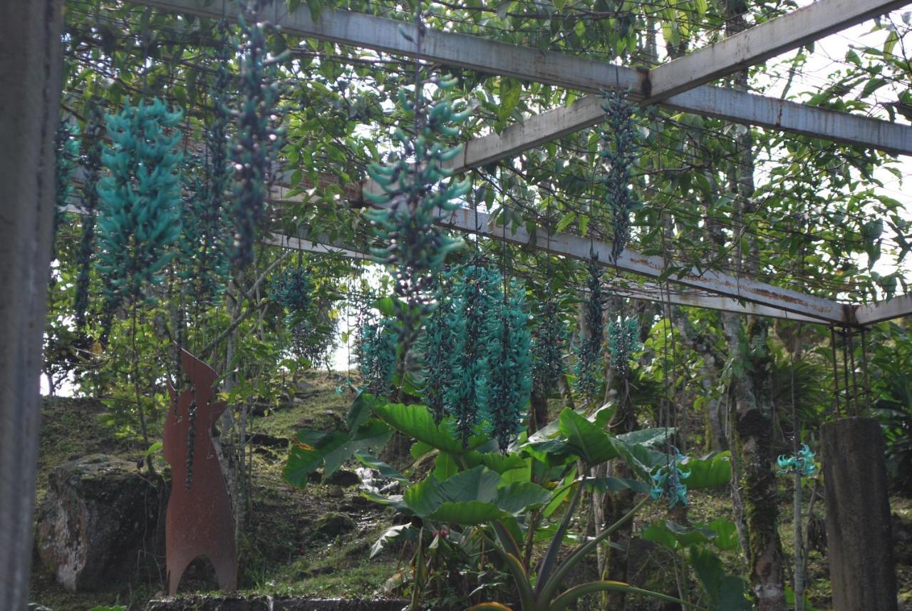 Finca Jardin Del Agua Sasaima Exterior photo
